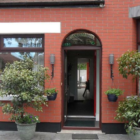 Sycamore House B&B Dublin Dış mekan fotoğraf
