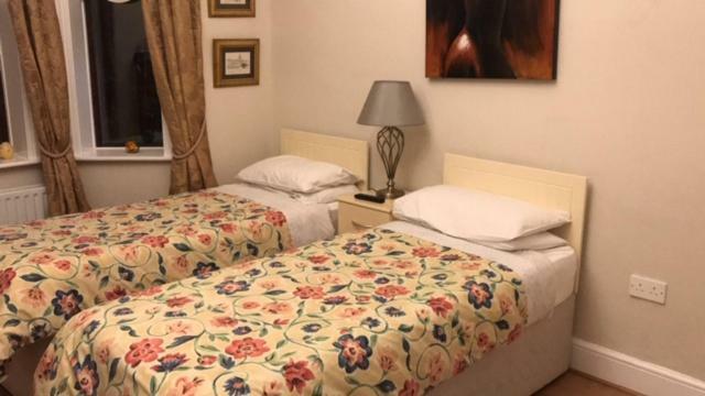 Sycamore House B&B Dublin Dış mekan fotoğraf