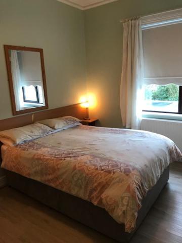 Sycamore House B&B Dublin Dış mekan fotoğraf